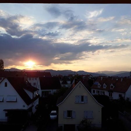 Logement Ideal Pour Un Sejour Alsacien En Amoureux Colmar Bagian luar foto